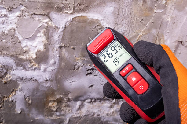 Best Professional Mold Removal  in Grayson, GA